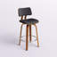 Benelli Mid-Century 26" Counter Stool With Swivel-1016456850