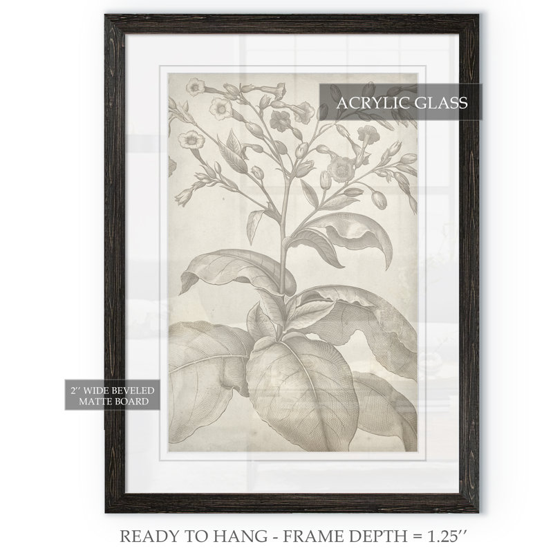 «Classic Romance I» par Paul Cezanne - Reproduction d'art sur papier encadrée, H 22 po x l 16 po x P 1 po, Ébène