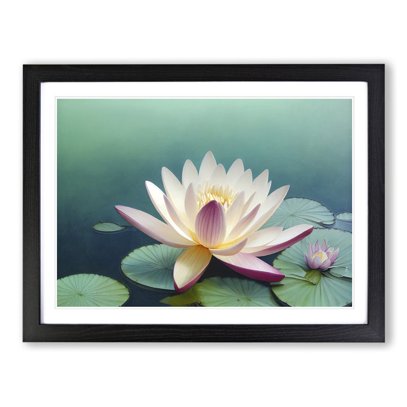 Classic Water Lily Flower - Framed Print, Black, 46cm H x 64cm W x 2cm D