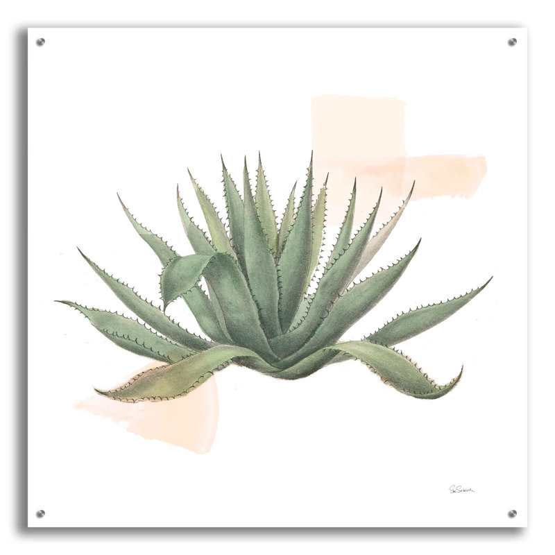 Art mural en verre épique «Desert Color Succulent 1» par Sue Schlabach, H 36 po x l 36 po x P 0,2 po