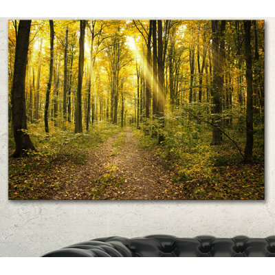 «Sunset in Green Autumn Forest», reproduction de photo sur toile tendue