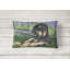 Coussin décoratif intérieur/extérieur gordon setter