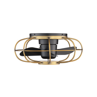 22'' Ceiling Fan with LED Lights