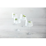 Zwiesel Glas Echo Crystal Glass, 21 Oz. Gin and Tonic (Set of 4), Clear