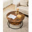 Adebayo Coffee Table with Storage-479596513