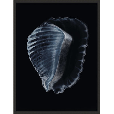 Tidal Blues 1 Print by Art House Studios