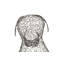 Crazy Wire Retriever Statue