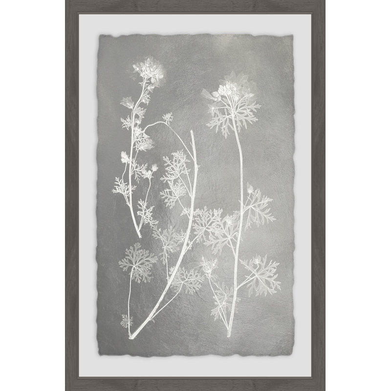 « herbarium study v », reproduction d’impression encadrée, H 24 po x l 16 po x P 1,5 po