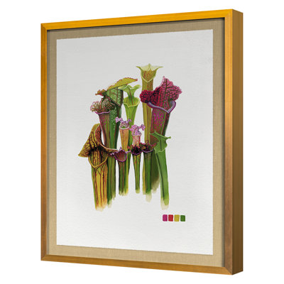 Pitcher Plant Print by Thicket Design
