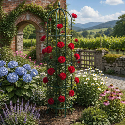 Obélisque de jardin, support en métal pour plantes grimpantes et plantes grimpantes