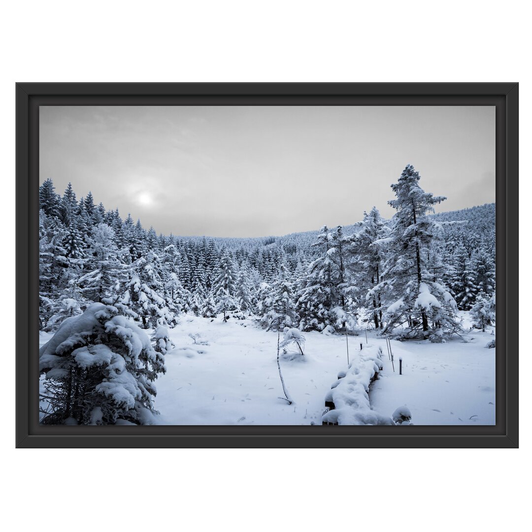 Gerahmtes Wandbild Waldverschneiten Winter