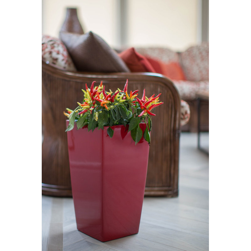 Byrum Plastic Self-Watering Indoor/Outdoor Pot Planter, 21.5" H x 11" W x 11" D, Gloss Red
