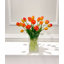 Arrangement floral tulipes dans un vase-107375921