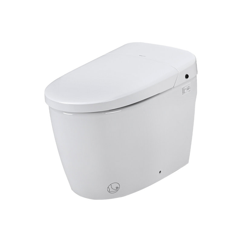 Smart Toilet Bidet Combo With Self-Cleaning Nozzle, Heated Seat, Night Light, Knob Control, Power Outage Flushing, Soft Close, Auto Flush, With Remote Control
