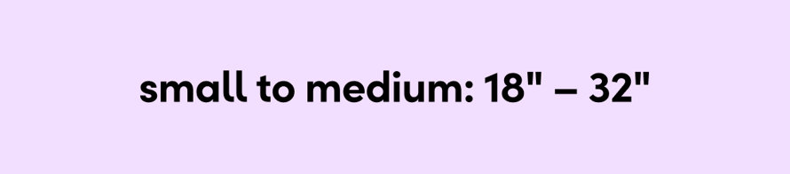 small/medium