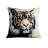 Throw Pillow With Insert-105617310-105618096