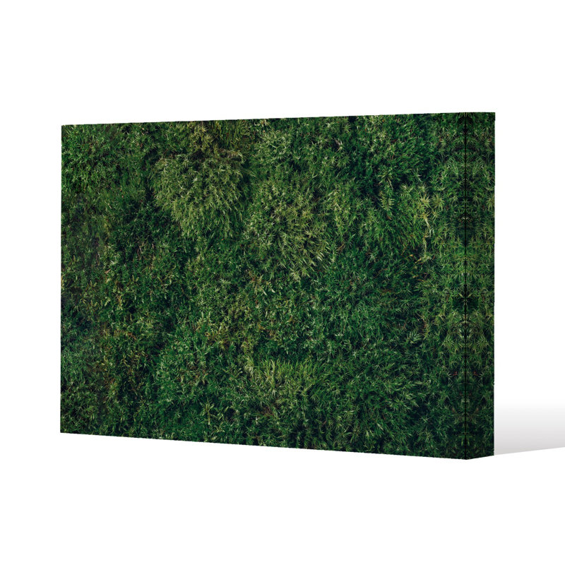 Natural moss Slim Style Canvas Print, 15mm Slim Real wood., 20 cm H x 30 cm W