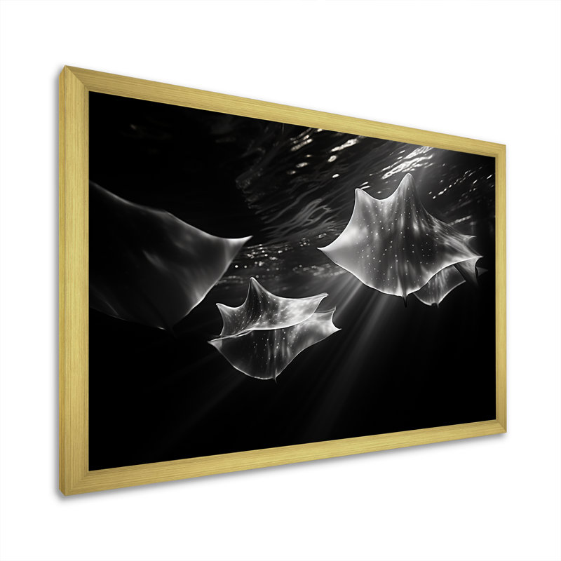 Under Water Abstract Manta Dance sur toile, Cadre doré simple, H 24 po x l 32 po x P 1 po