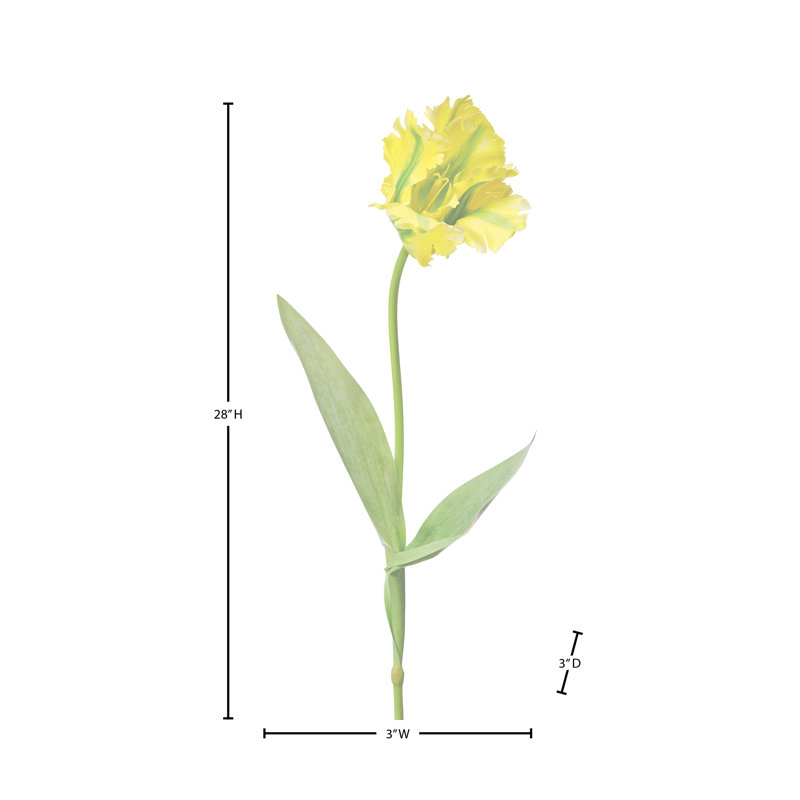 Perroquet doux au toucher 28 po , Jaune