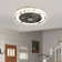 Ceiling Fan with LED Lights
