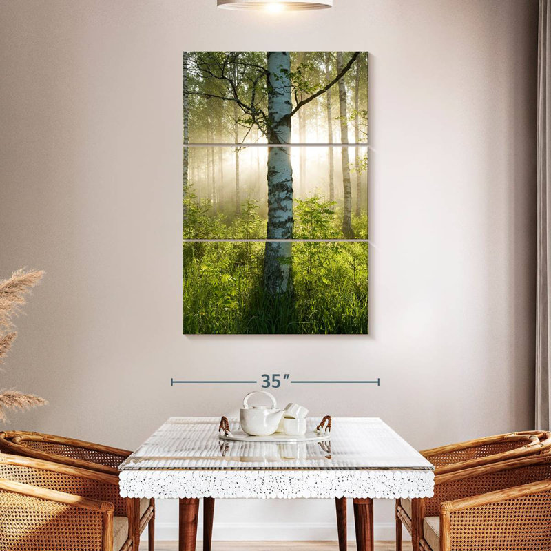 Harnek Sunlit Birch Tree, 50" H x 32" W