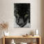 Visage de panthère noire Brampt-108356006