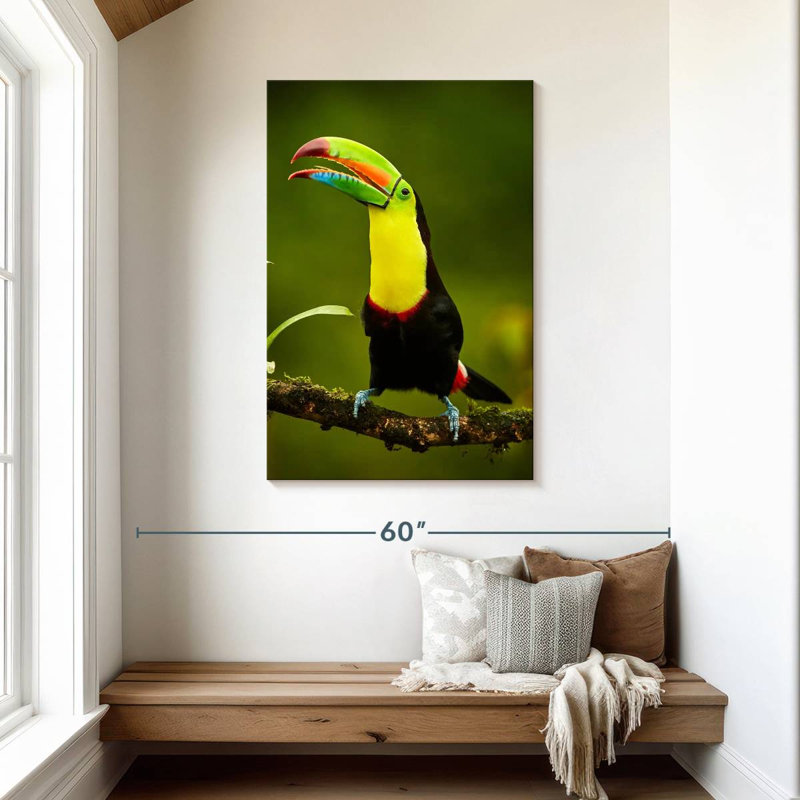Brampt Rainbow Billed Toucan, 45" H x 30" W