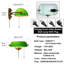 Glass Plug-in Wall Sconce