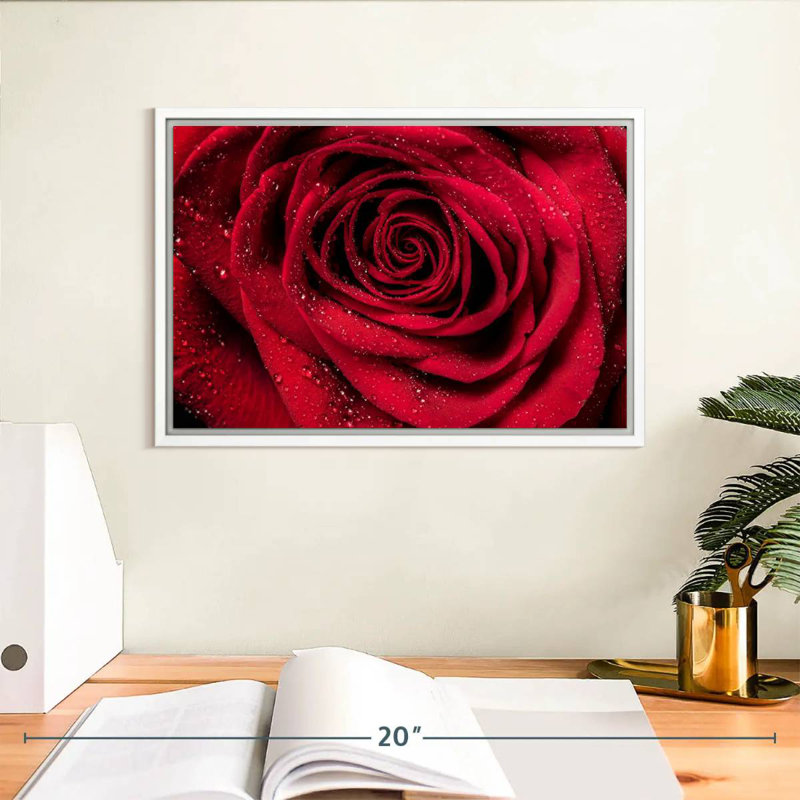 Rosée rouge veloutée, Cadre flottant blanc, 13 po x 9 po