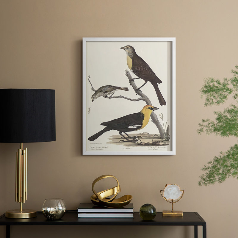 «Vintage Animal Print XVIII», reproduction encadrée - bois massif, H 11 po x l 9 po, Blanc