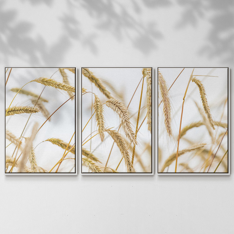 Blé 3 pièces, H 36 po x l 75 po x P 2 po, Blanc