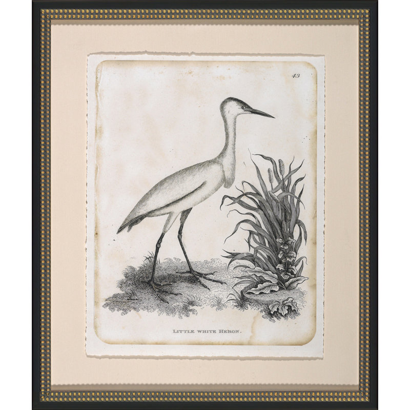 Little White Heron Painting