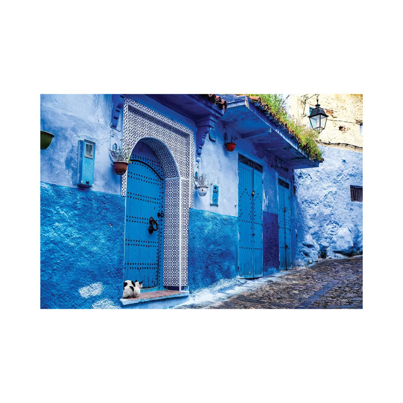 Chefchaouen, Morocco. Cat And Blue Door And Buildings by Dane Shue - Print on Canvas, 66.04 cm H x 45.72 cm W x 1.91 cm D