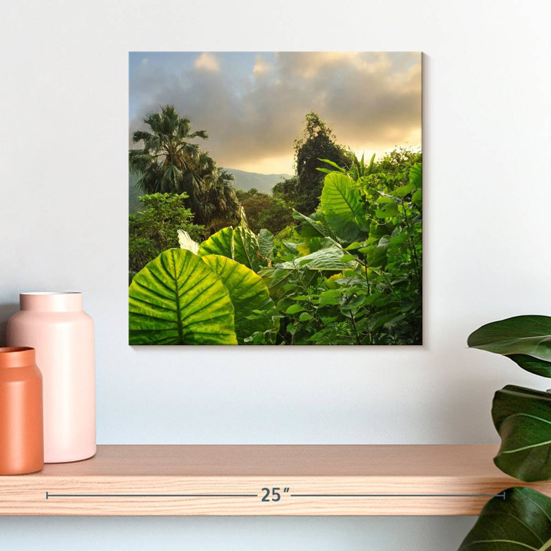 Alvord Borneo Rainforest, H 16 po x l 16 po