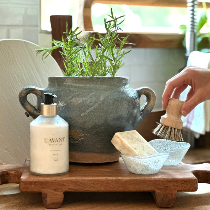 Euro Pot and Pan Brush