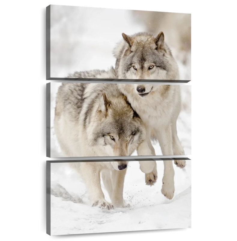 Brampt Playful Gray Wolves, 45" H x 28" W