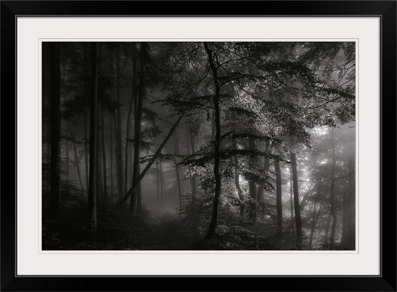 «Straub Morning Light» par Norbert Maier - reproduction de photo, Cadre noir, H 28 po x l 38 po x P 1 po