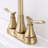 Centerset 2-handle Bathroom Faucet with Drain Assembly-80014458