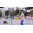 Mookie Plastic Tetherball with Carrying Case