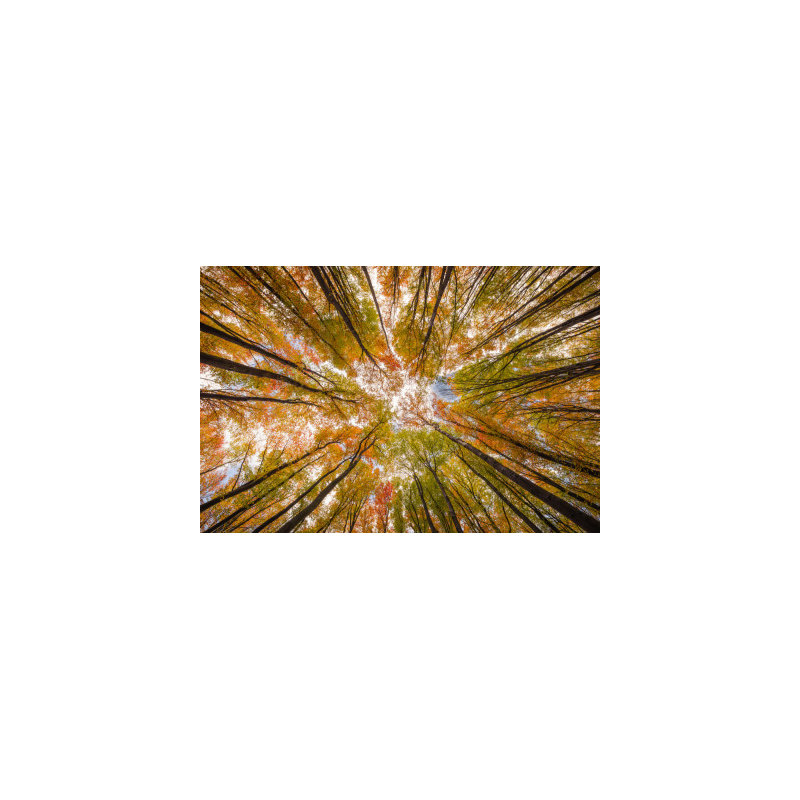 Wrapped Canvas Print, 81.28 cm H x 121.92 cm W