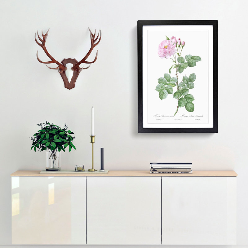 Pink Damask Rose by Pierre-Joseph Redoute - Picture Frame Graphic Art Print, 65cm H x 48cm W x 2cm D, Black Framed