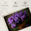 Vase Harnek de lilas mauves-107671822