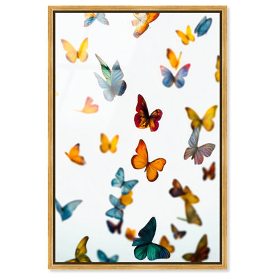 Décoration murale «Wings of Color I Print» par 