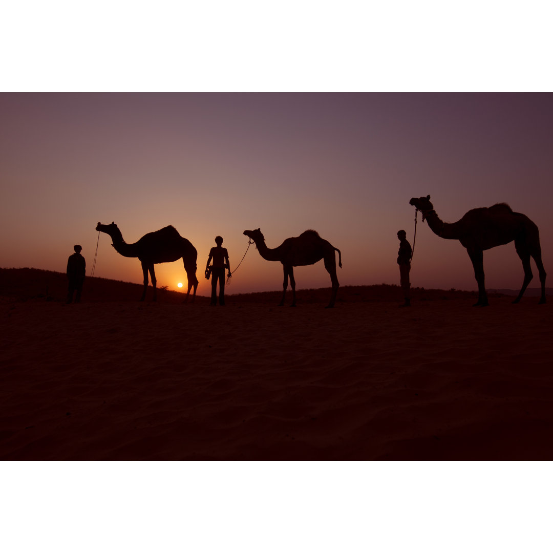 Silhouette von Kamelreitern in Pushkar von Sabirmallick - Ohne Rahmen auf Leinwand