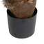100cm Plant