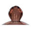 Glass Cloche Spice-224682357
