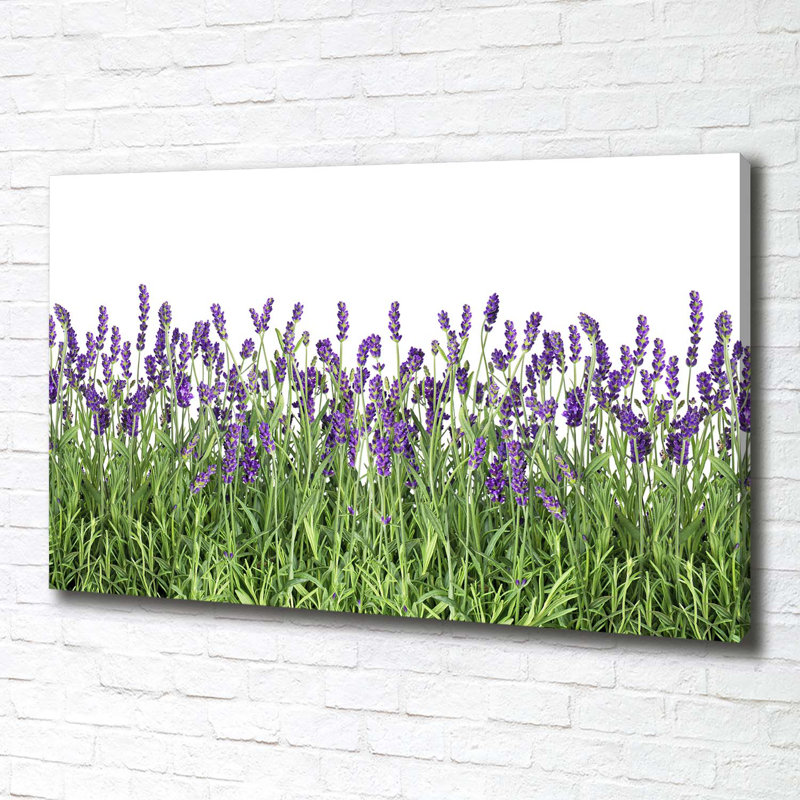 Lavender Flowers - Wrapped Canvas Print