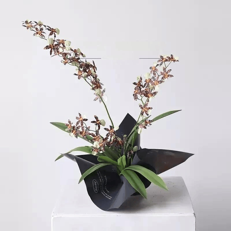 Tige d'orchidée dansante, Golden Blush, [D] 12 Stems