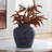 Ashly Vase-25623860