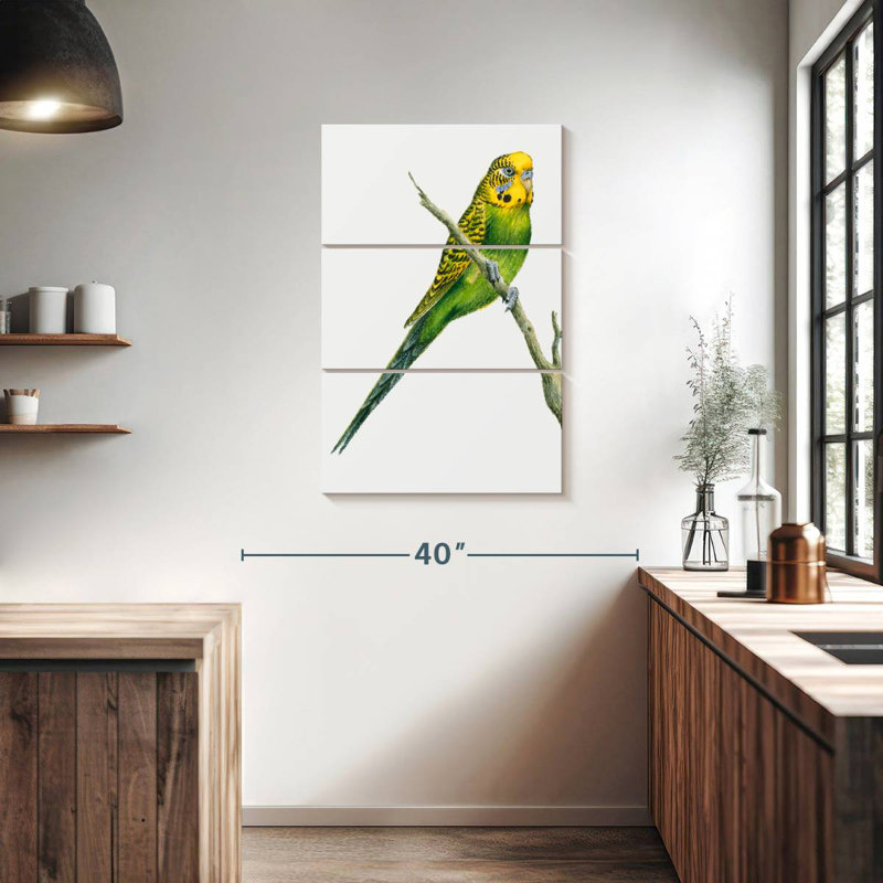 Brampt Perched Budgerigar, 38" H x 24" W